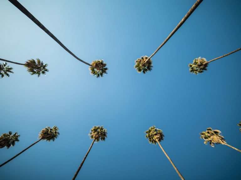 ©Unsplash