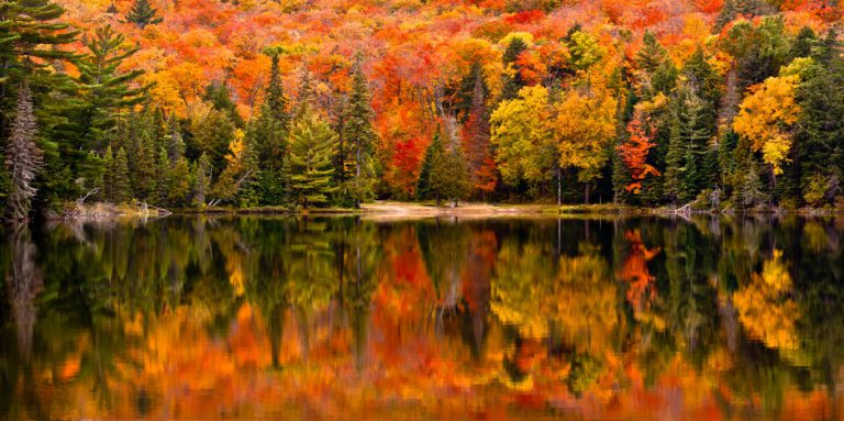 ©Shutterstock