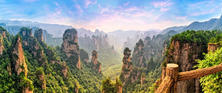©Shutterstock